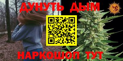гашик Лесосибирск