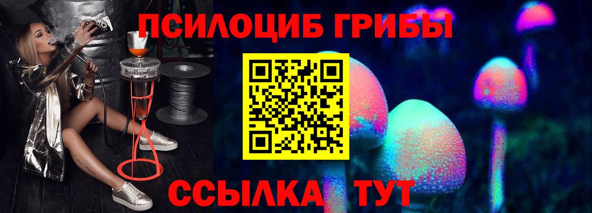 Псилоцибиновые грибы GOLDEN TEACHER Гусиноозёрск