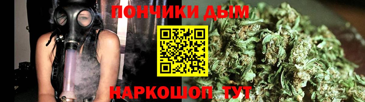 Конопля Ganja Гусиноозёрск