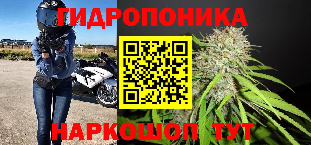 МАРИХУАНА планчик  Каннабис AK-47  Гусиноозёрск  Вход с VPN  Канабис Bruce Banner  МАРИХУАНА Amnesia 